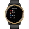 Умные часы GARMIN VENU BLACK/GOLD WI-FI GPS 010-02173-34