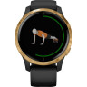 Умные часы GARMIN VENU BLACK/GOLD WI-FI GPS 010-02173-34